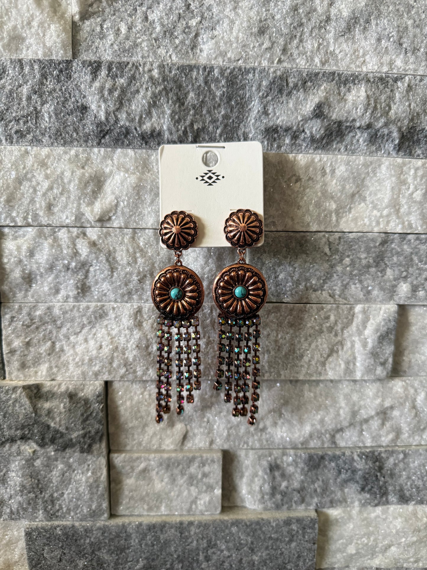 Wild Rodeo Fringe Earrings