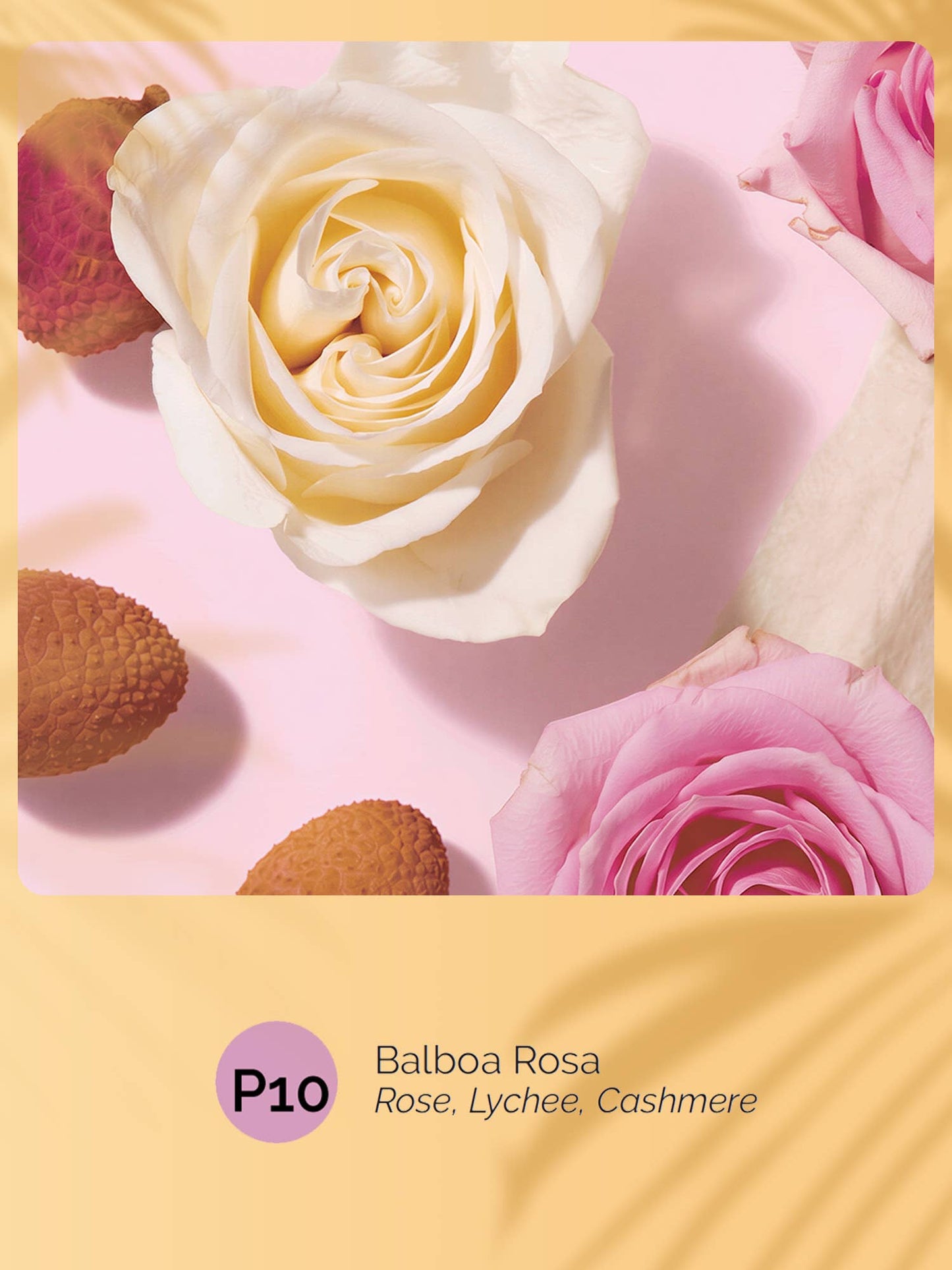 Balboa Rosa | Roll-on Pheromone Keychain Perfume Oil - 6ml